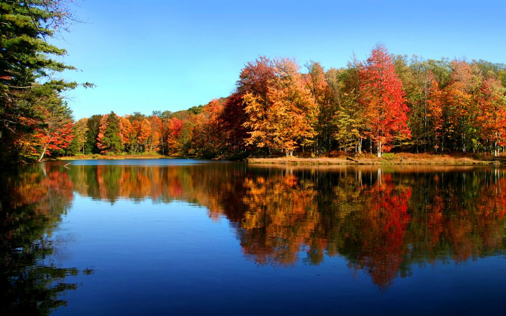Top15 Most Fascinating Things to Do in the Poconos