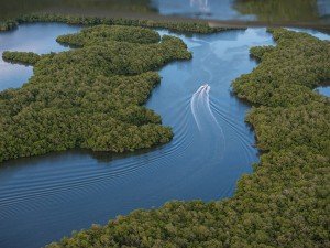 Everglades National Park