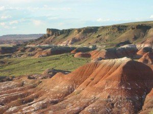 Petrified Forest National Park