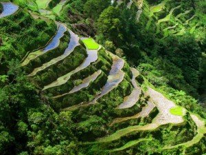 Rice terraces in Banaue