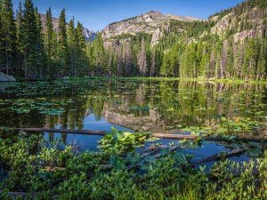  "Rocky Mountains"