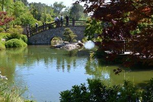 the Shinzen Friendship Garden