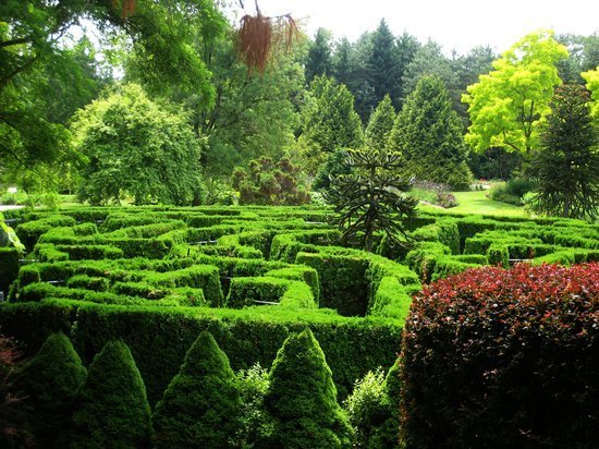 ideas for the amazing maze church ideas for the amazing maze church