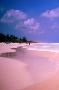 Pink Sands, The Bahamas