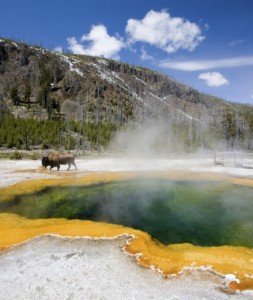 The National Park "Yellowstone"