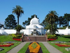 the Golden Gate Park