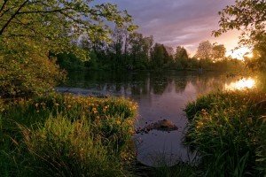 Natural Park "Whitaker Ponds"