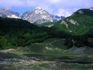 Parco Nazionale d'Abruzzo, Rome