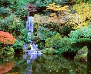 Portland Japanese Garden