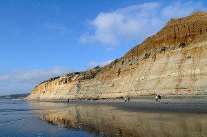 State Natural Reserve "Torrey Pines"