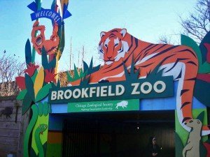 the Brookfield Zoo