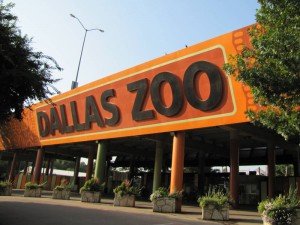 Dallas Zoo