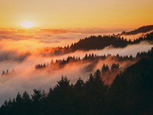 Mount Tamalpais