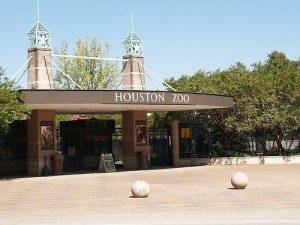 Houston Zoo