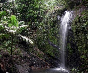 National Reserve El Yunque