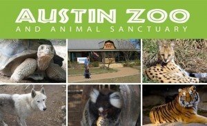 austinzoo