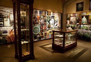 The Museum of Marijuana