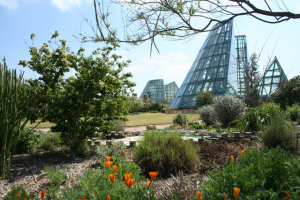 San Antonio Botanical Garden