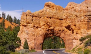The Dixie National Forest