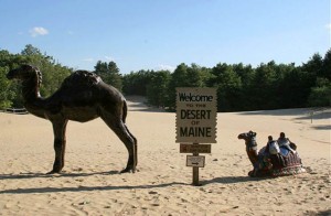 The Desert of Maine