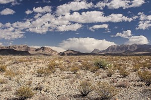 Chihuahuan Desert