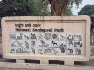 Delhi Zoo