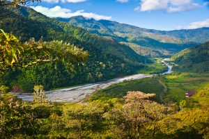 Orosi Valley