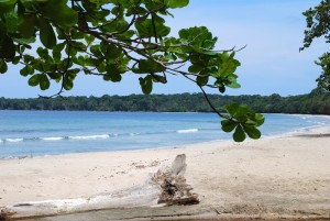 The Cahuita National Park