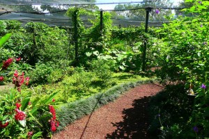 Butterfly Farm in Alajuela