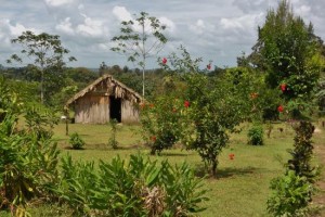 Maleku Village