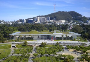 San Francisco Academy of Science