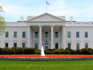 The White House