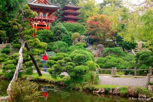 Japanese Tea Garden san francisco