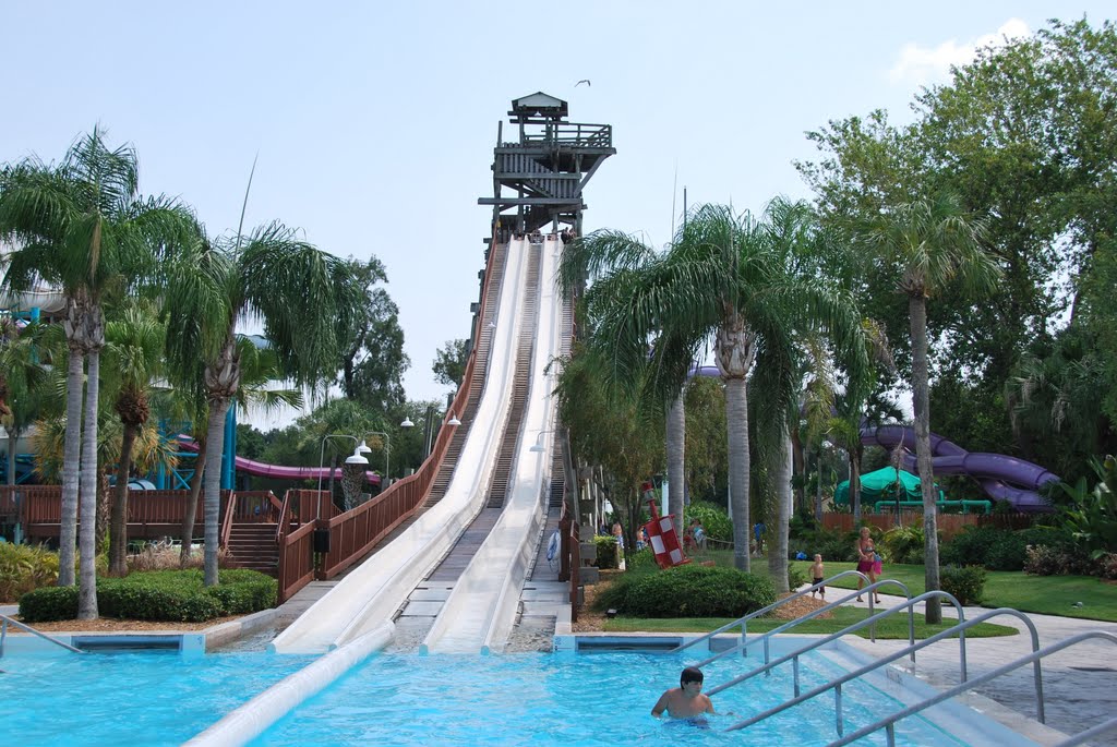 10 Most Relaxing Things To Do In Tampa This Weekend 43 Places 5 