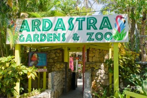 Ardastra Gardens and Zoo